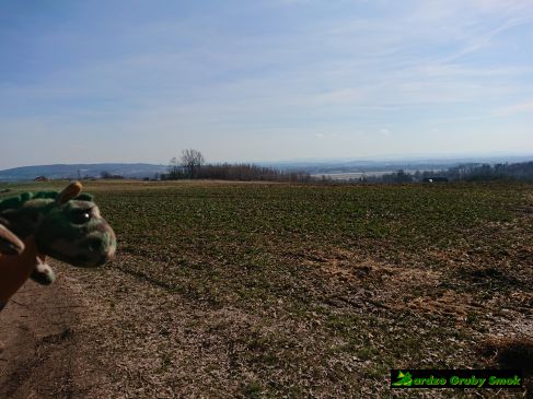 widok na balice