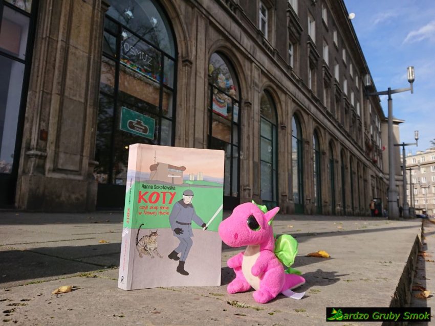 Koty czyli złap mnie w NH