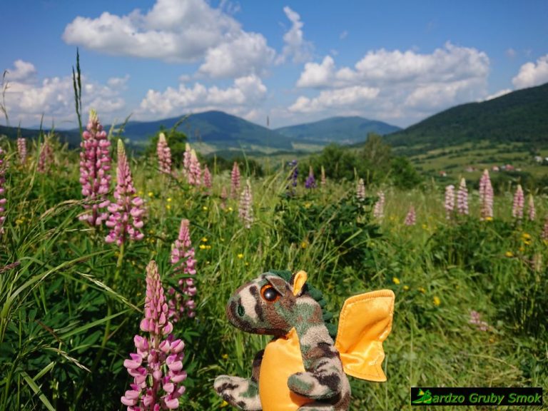 widok na Beskid Wyspowy