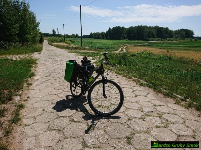 płyty brukowe na drodze