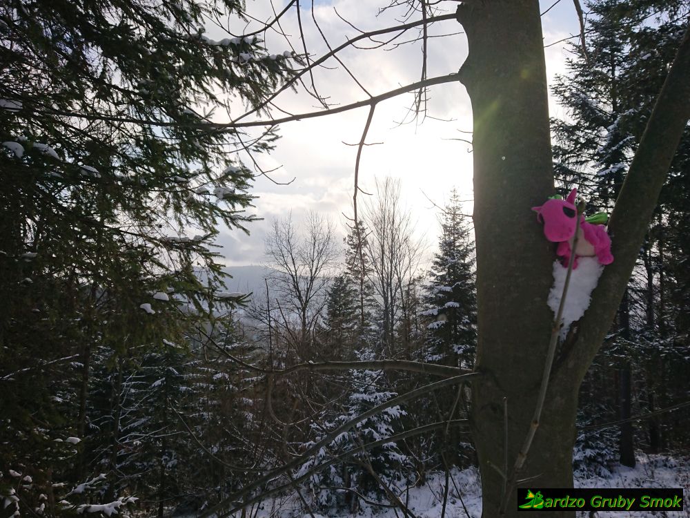 widok na Lubień Wielki