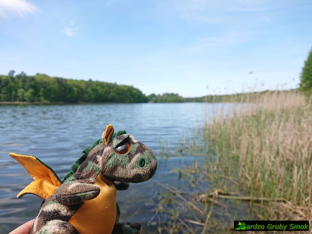 Jezioro Góreckie