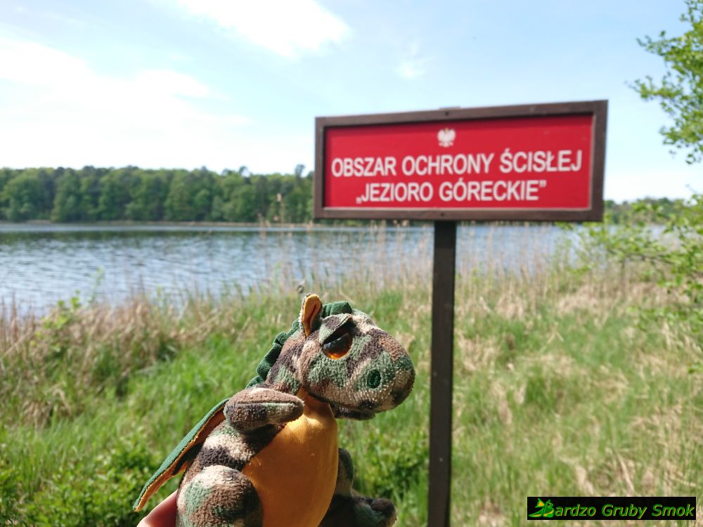 Jezioro Góreckie w Wielkopolskim Parku Narodowym