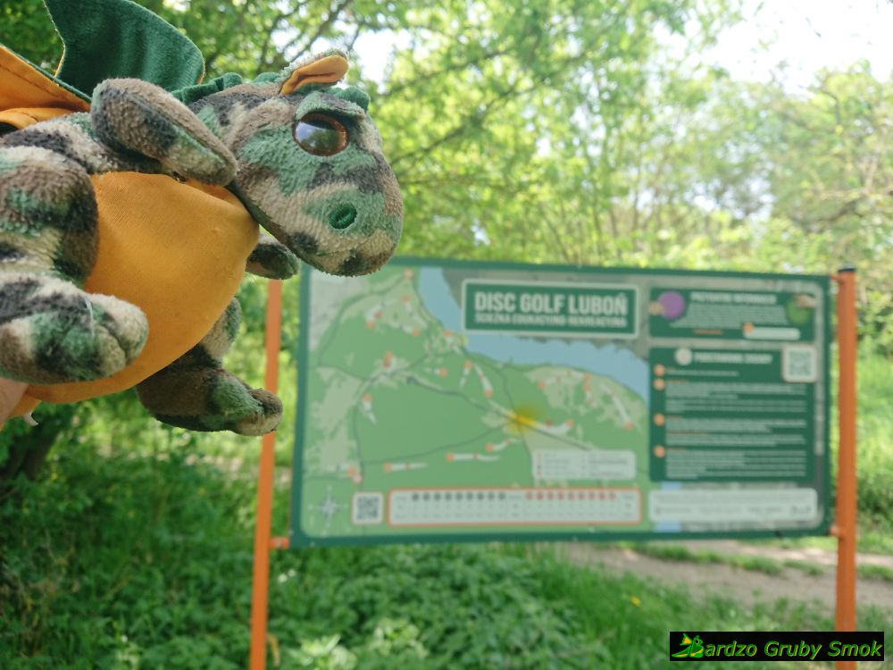 Lasek Majoński - disc golf