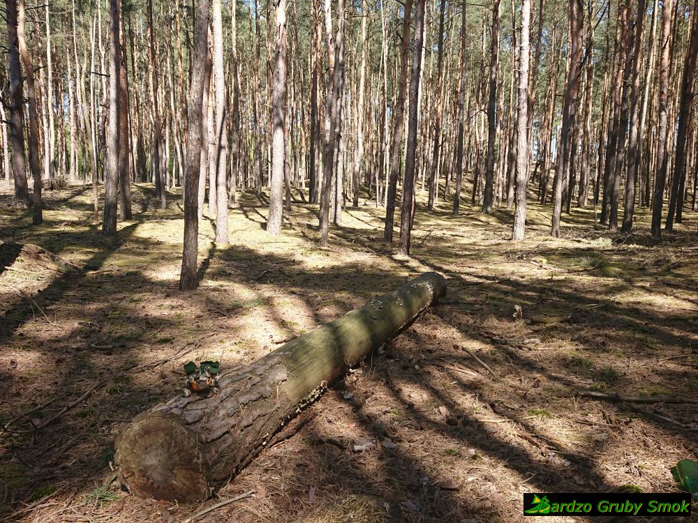 Nadwarciański Park Krajobrazowy