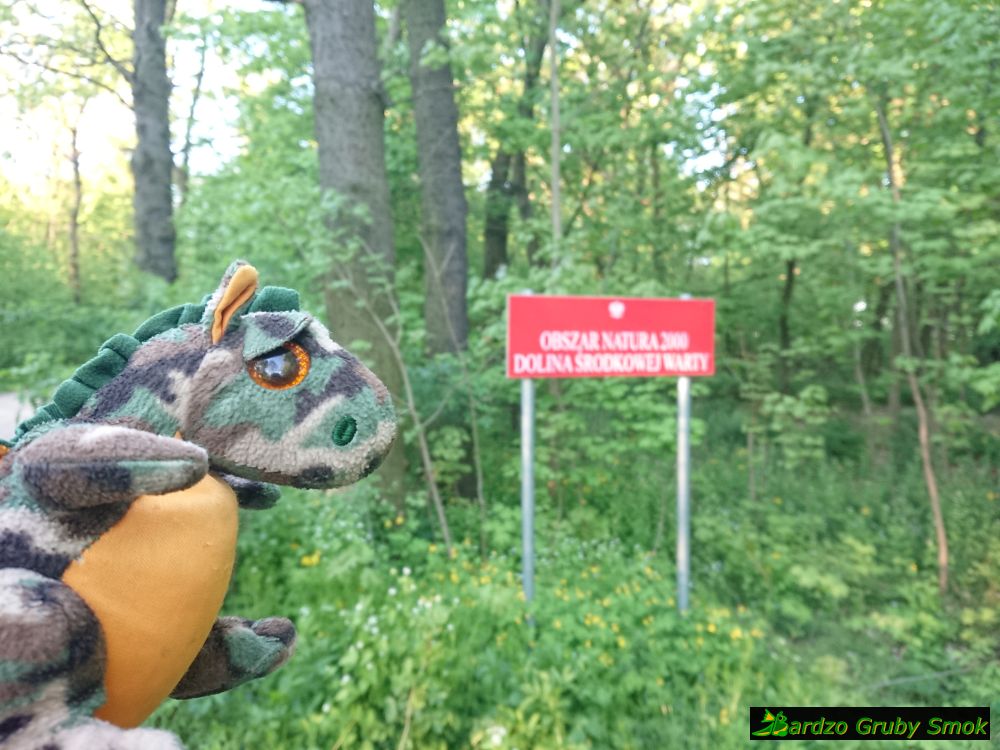 Obszar Natura 2000 Dolina Środkowej Warty