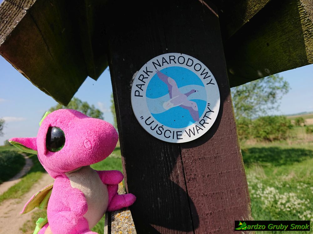 Park Narodowy Ujście Warty