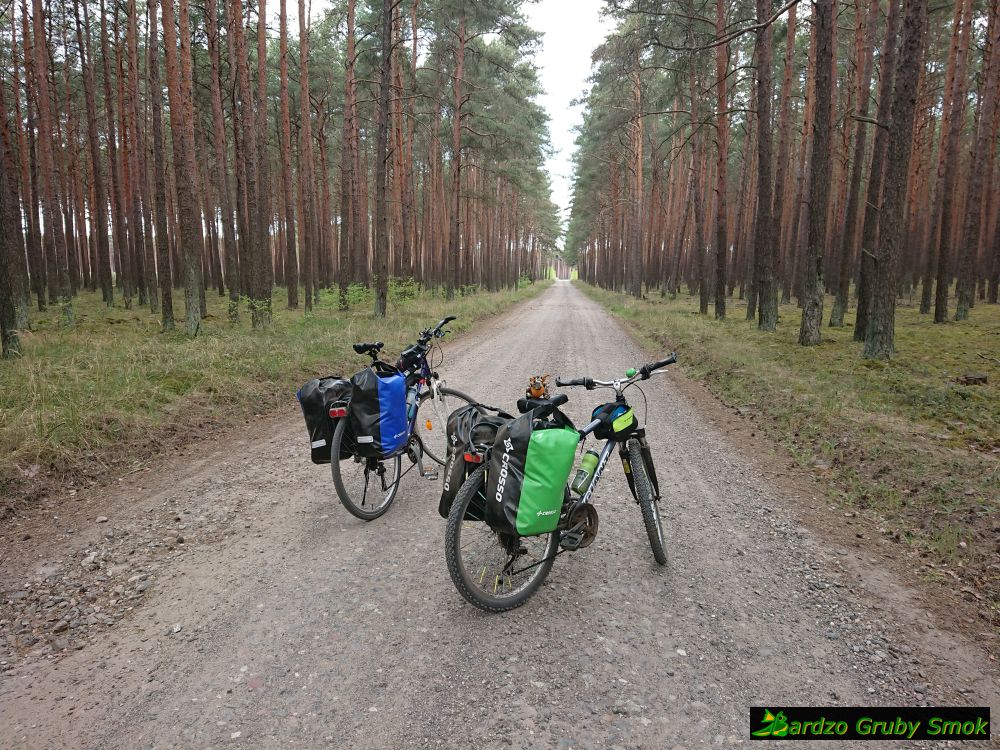 Puszcza Notecka