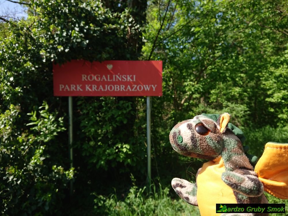 Rogaliński Park Krajobrazowy