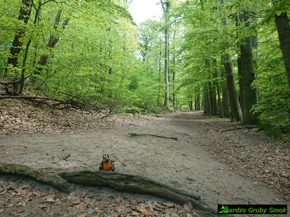 Wielkopolski Park Narodowy