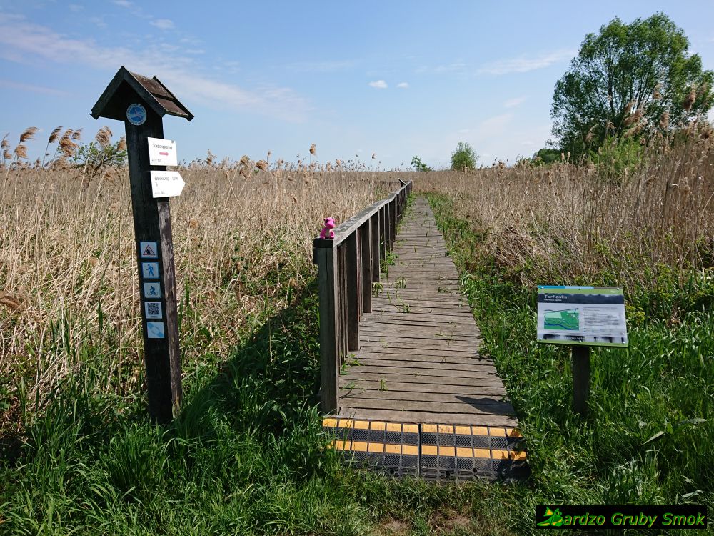 kładka spacerowa