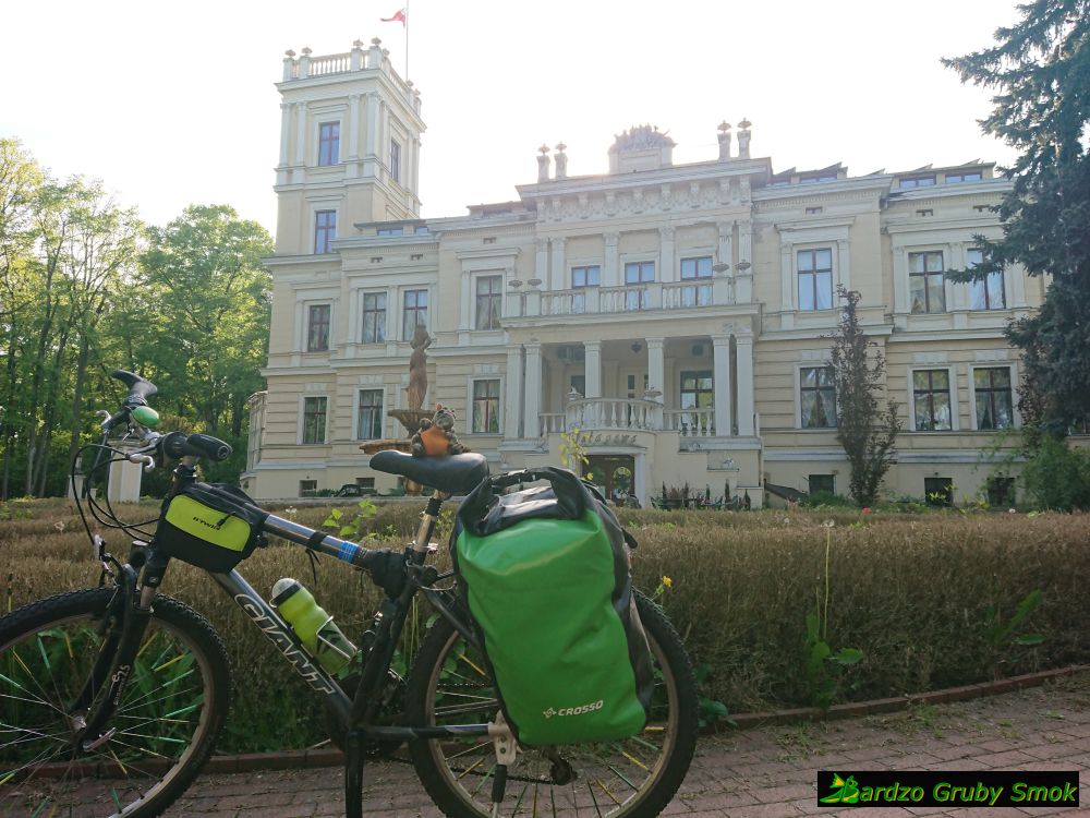 pałac w Biedrusku