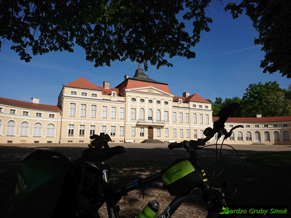 pałac w Rogalinie