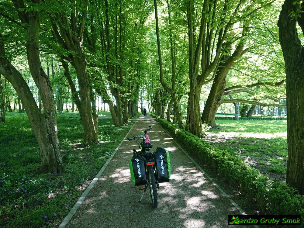 park pałacowy w Zadzimiu