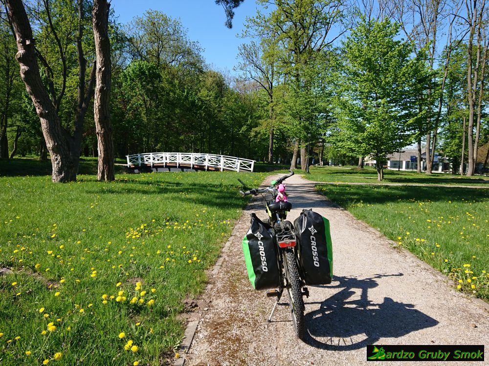 park pałacowy w Zadzimiu