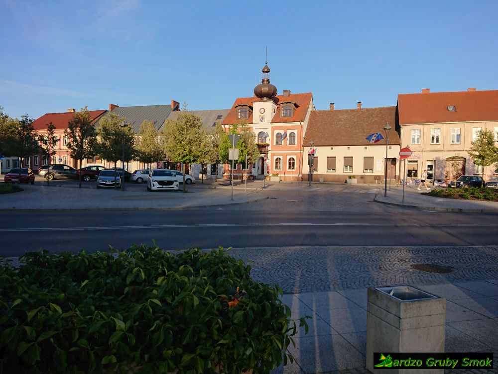 rynek w Murowanej Goślinie
