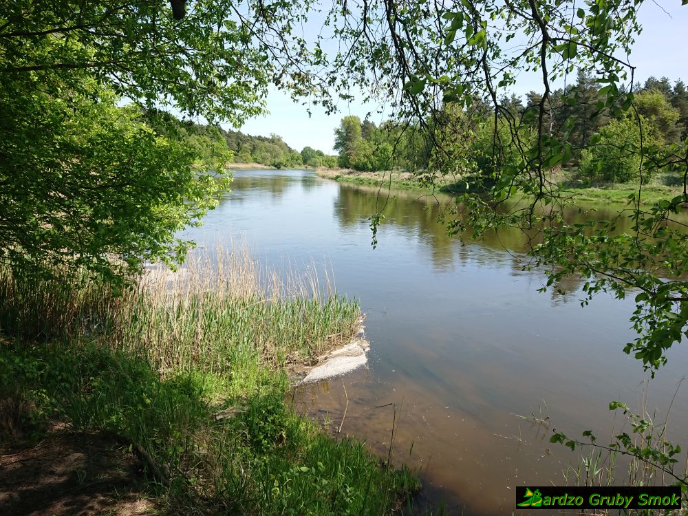 ścieżki nad Wartą