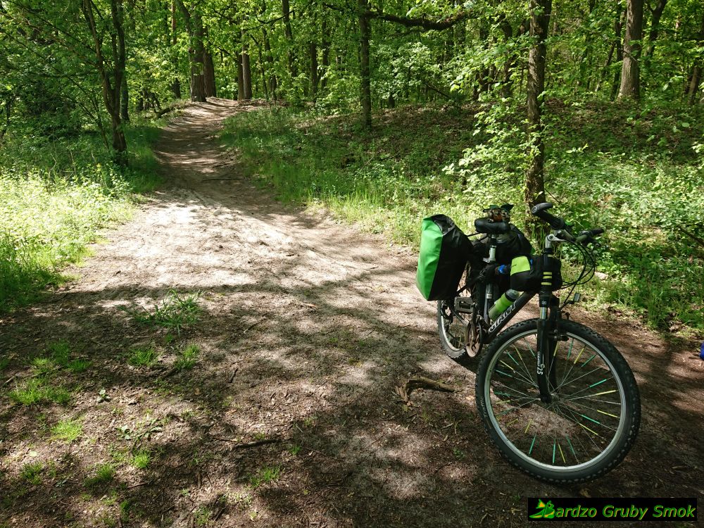 ścieżki nad Wartą