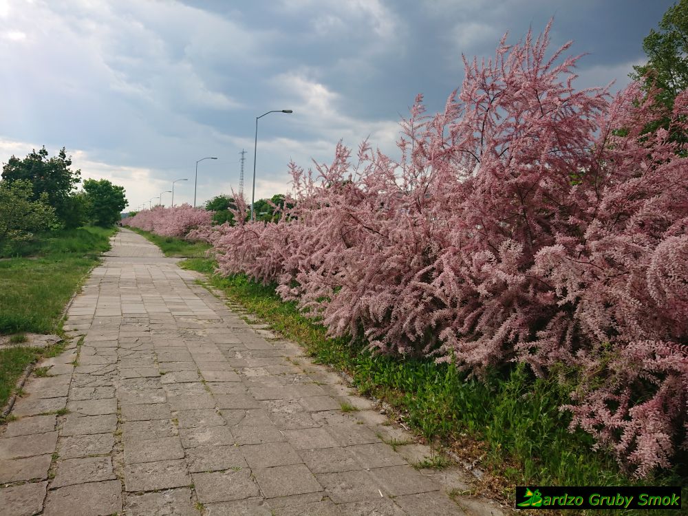 wyjazd z Gorzowa