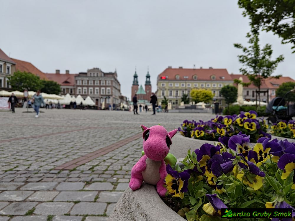 rynek