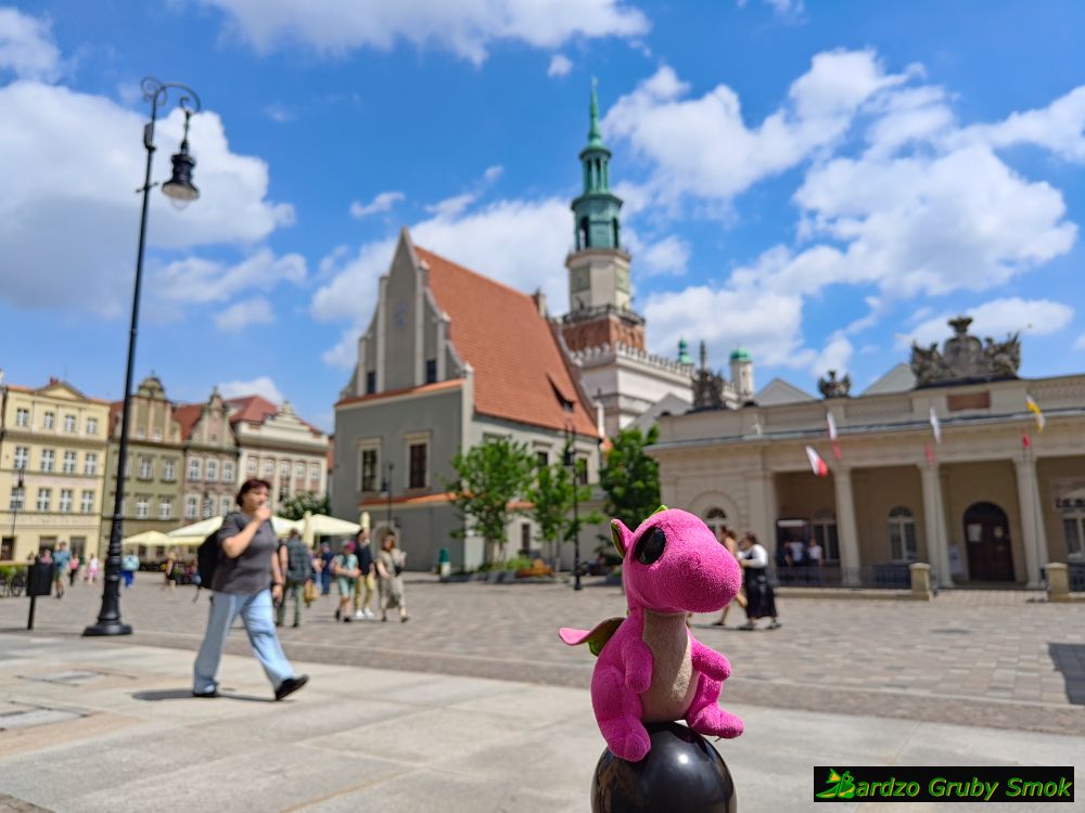 rynek