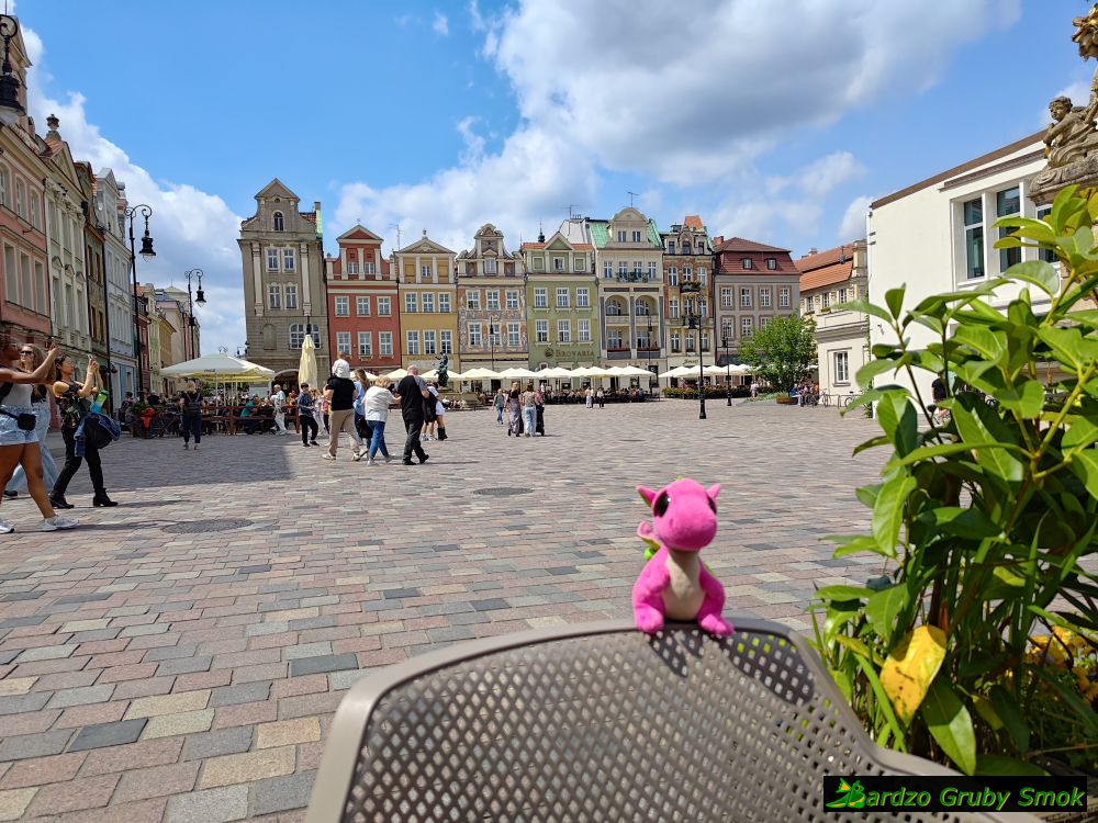rynek