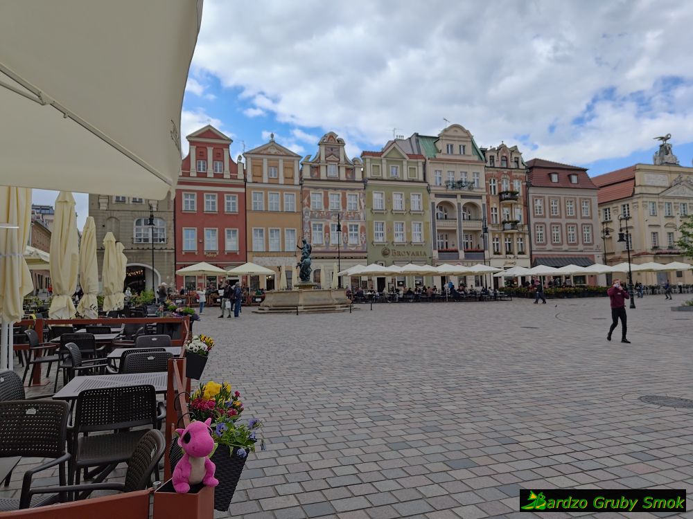 rynek