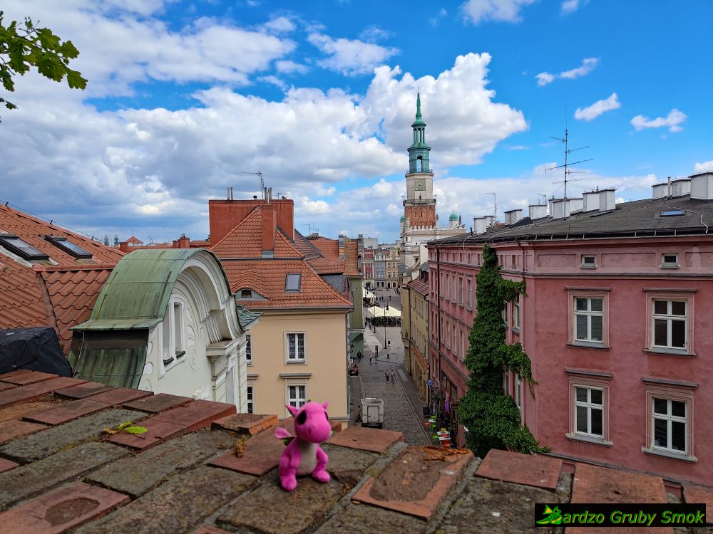 widok na miasto