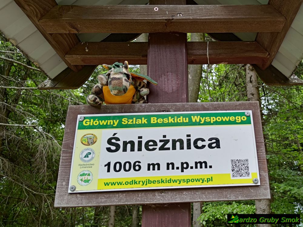 Śnieżnica