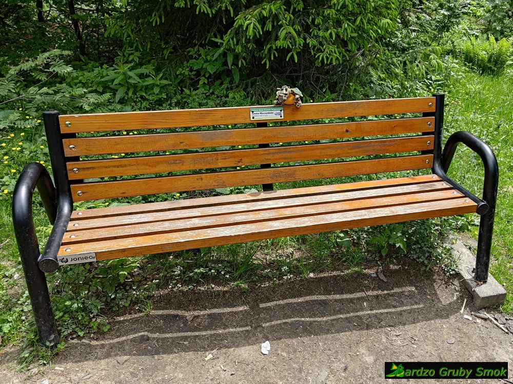 ławeczka na Śnieżnicy