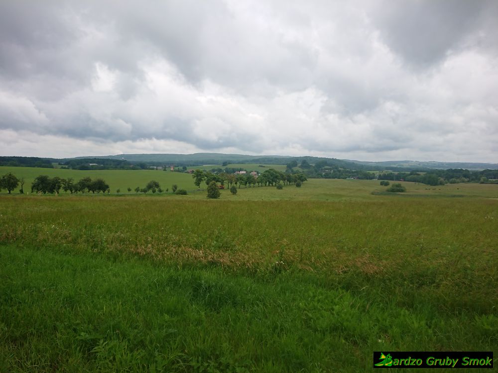 Czechy