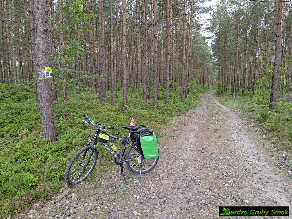 Eurovelo 10-13