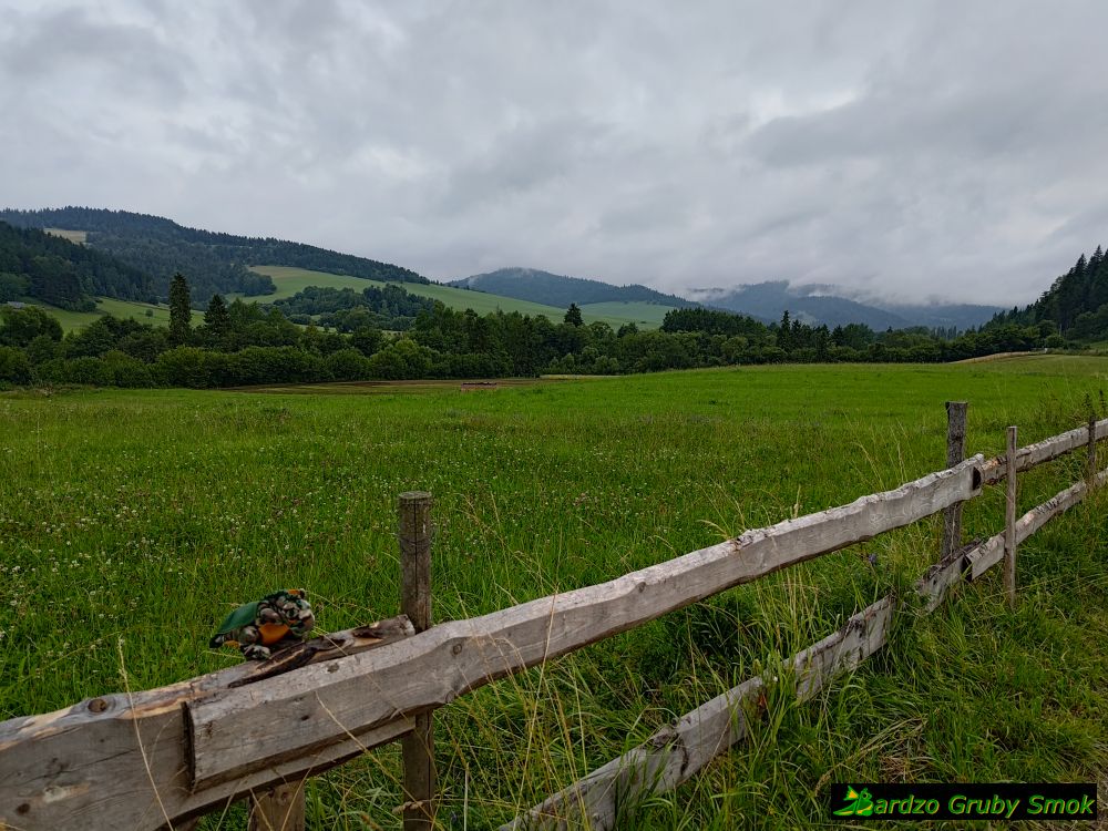 Kacwin - droga w stronę Słowacji