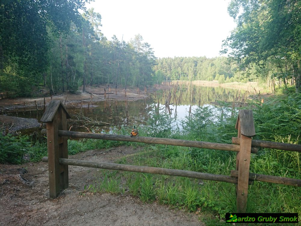 Łuk Mużakowa - Staw Szpilkowy