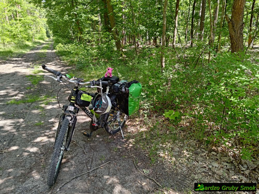 Obszar Natura 2000 Dolna Odra