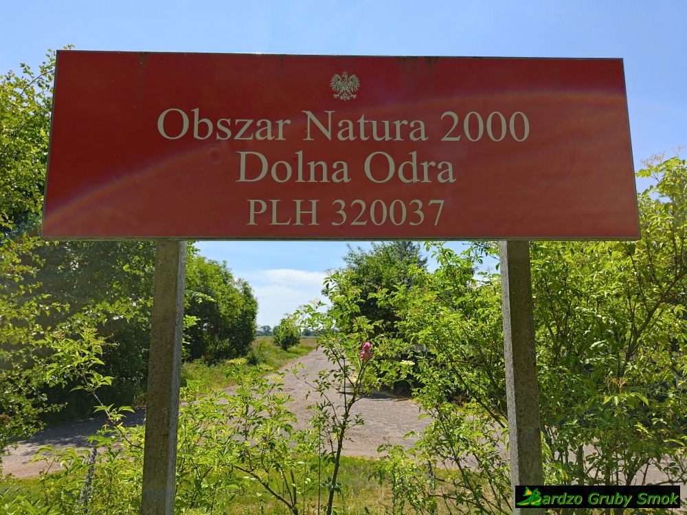 Obszar Natura 2000 Dolna Odra
