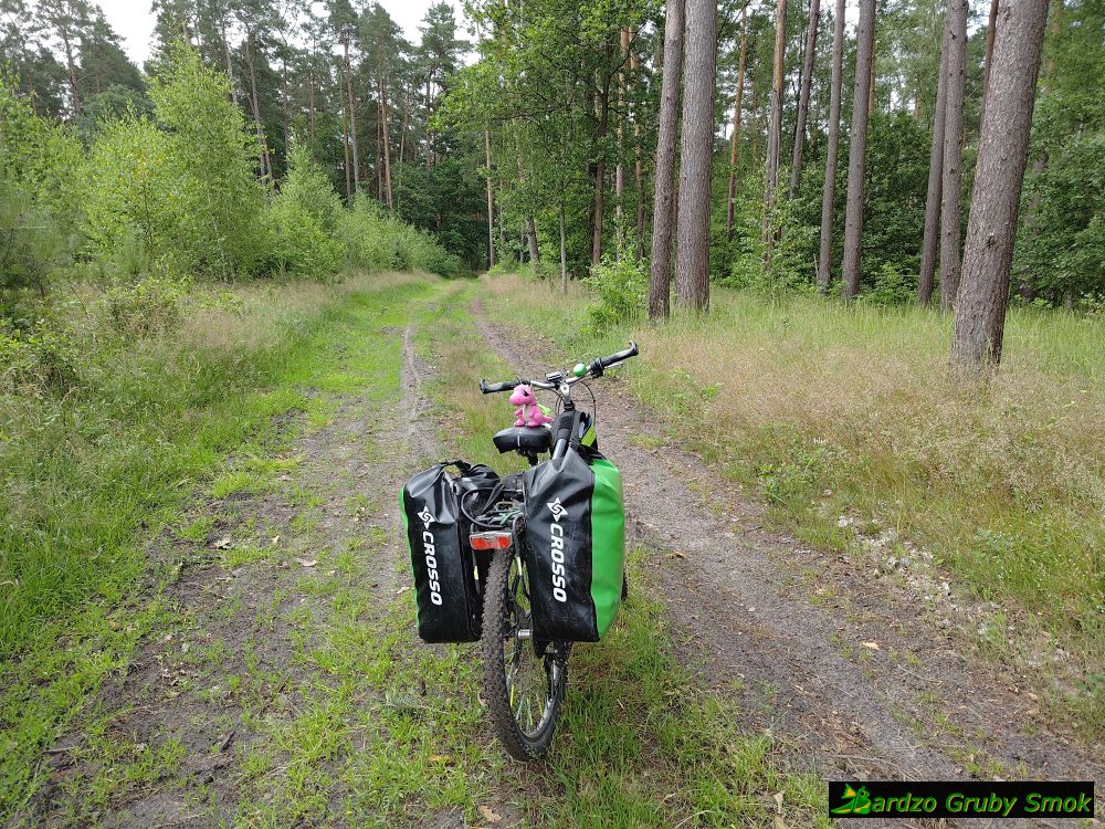 Puszcza Goleniowska