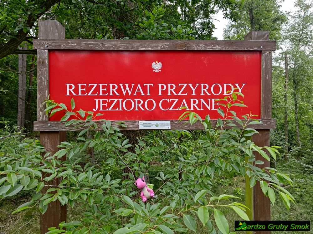 Rezerwat przyrody Jezioro Czarne