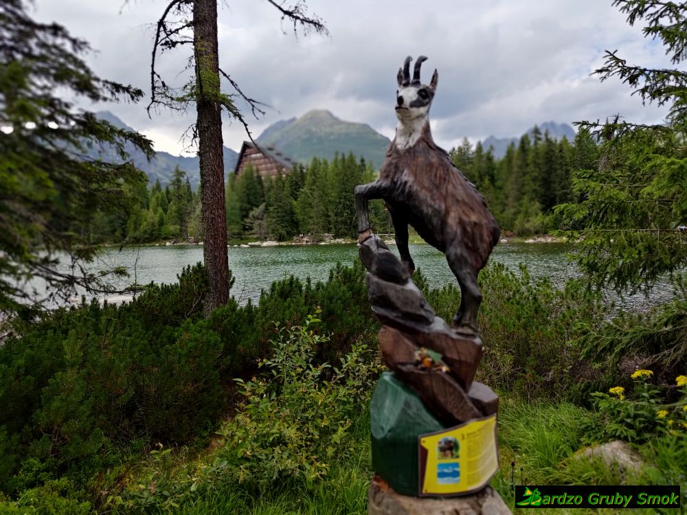Štrbské Pleso kozica