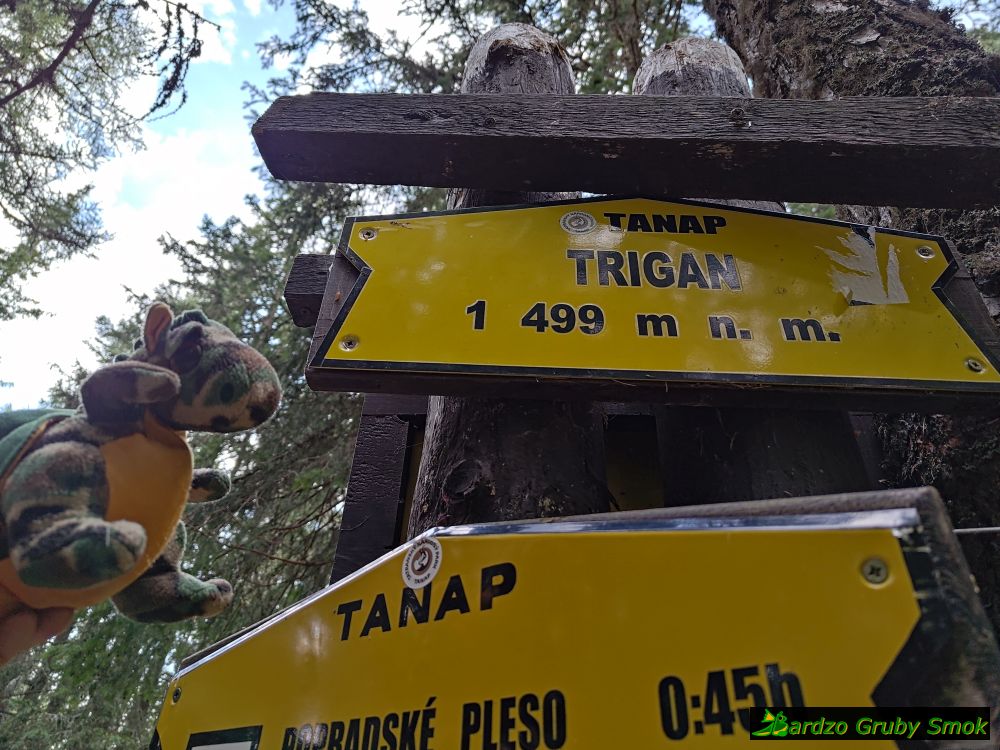 Trigan
