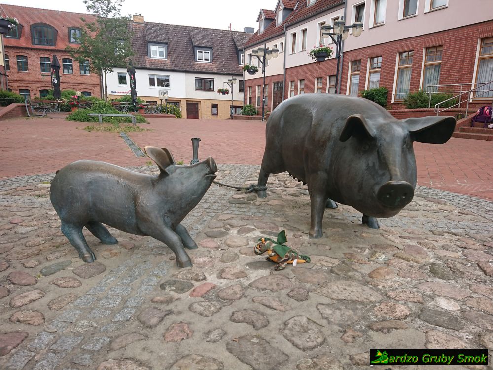 Ueckermunde świnki