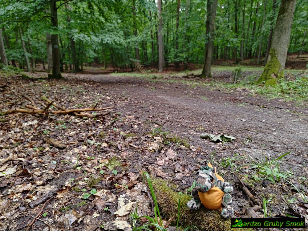 Woliński Park Narodowy