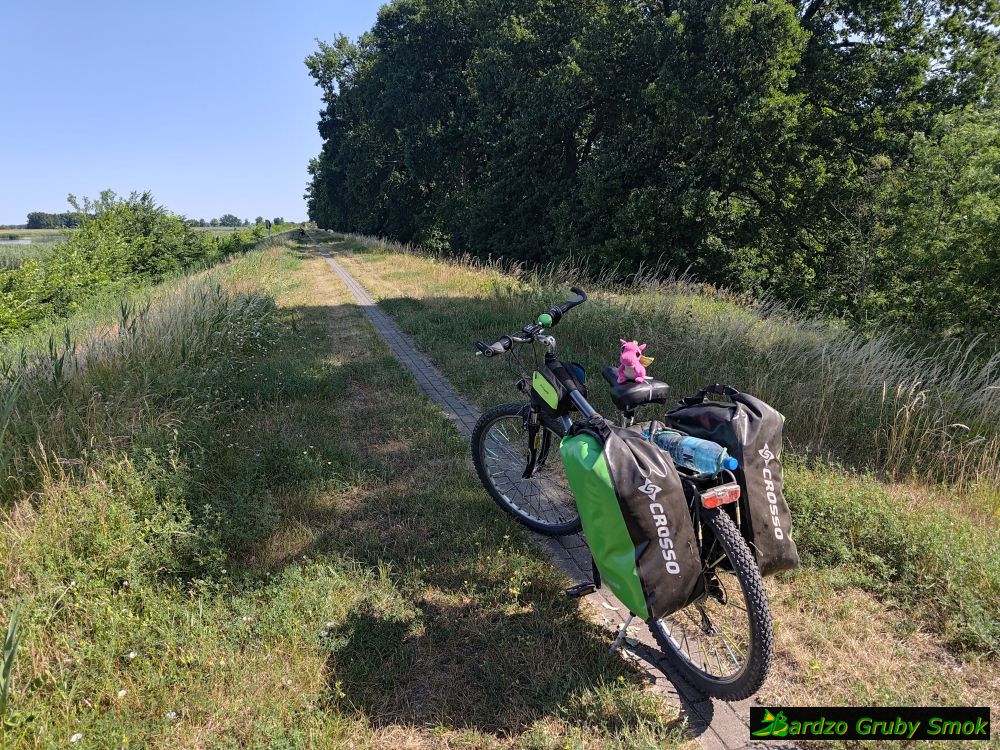Zielona Odra