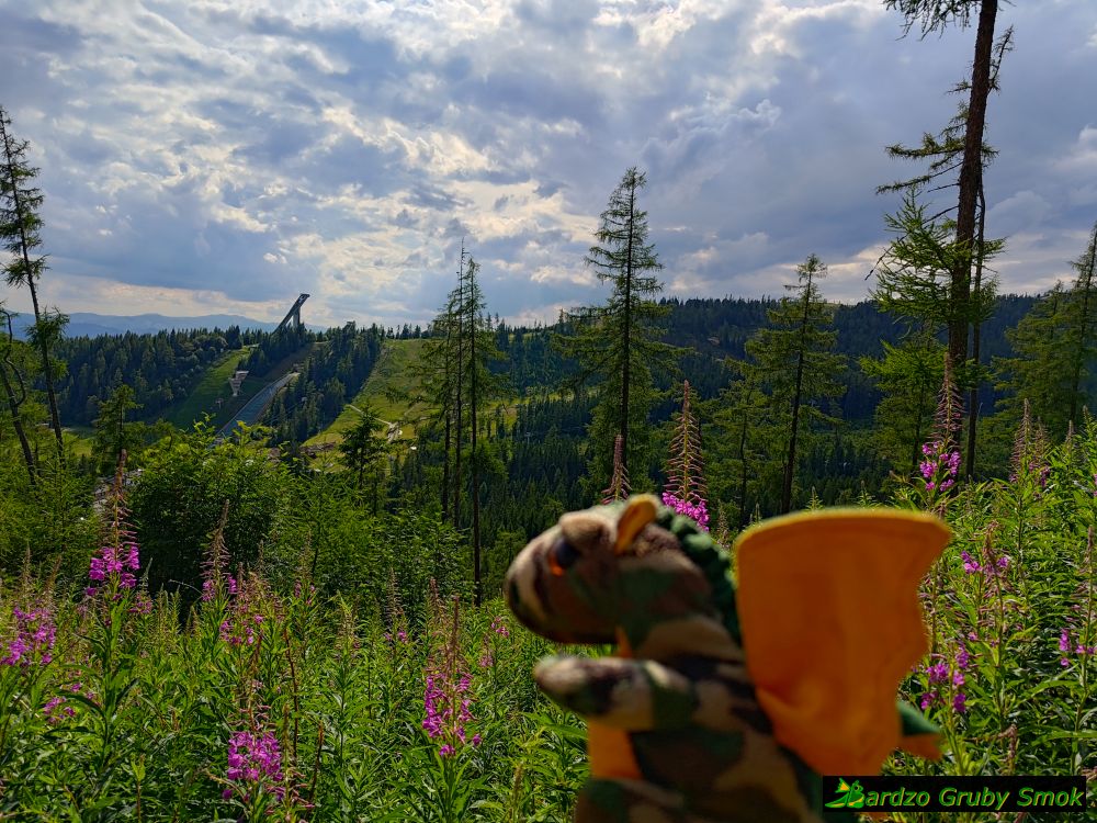 widok na skocznię