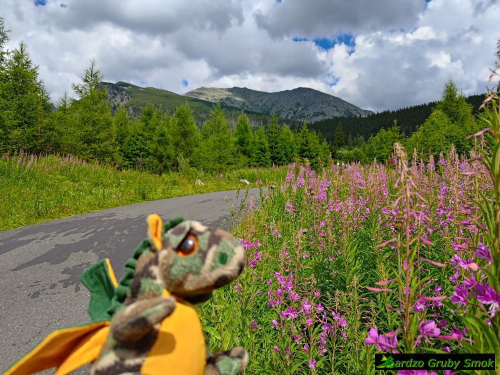 niebieski szlak do Popradske Pleso