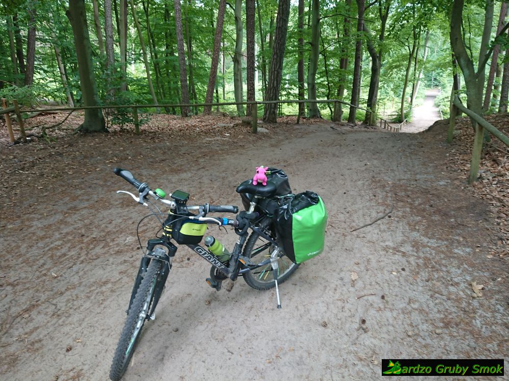 objazd na R10 ze Świnoujścia do Międzyzdrojów
