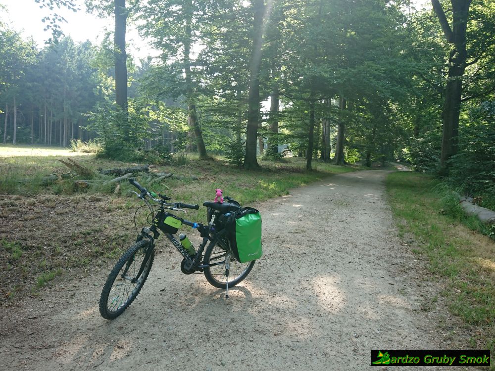 park mużakowski