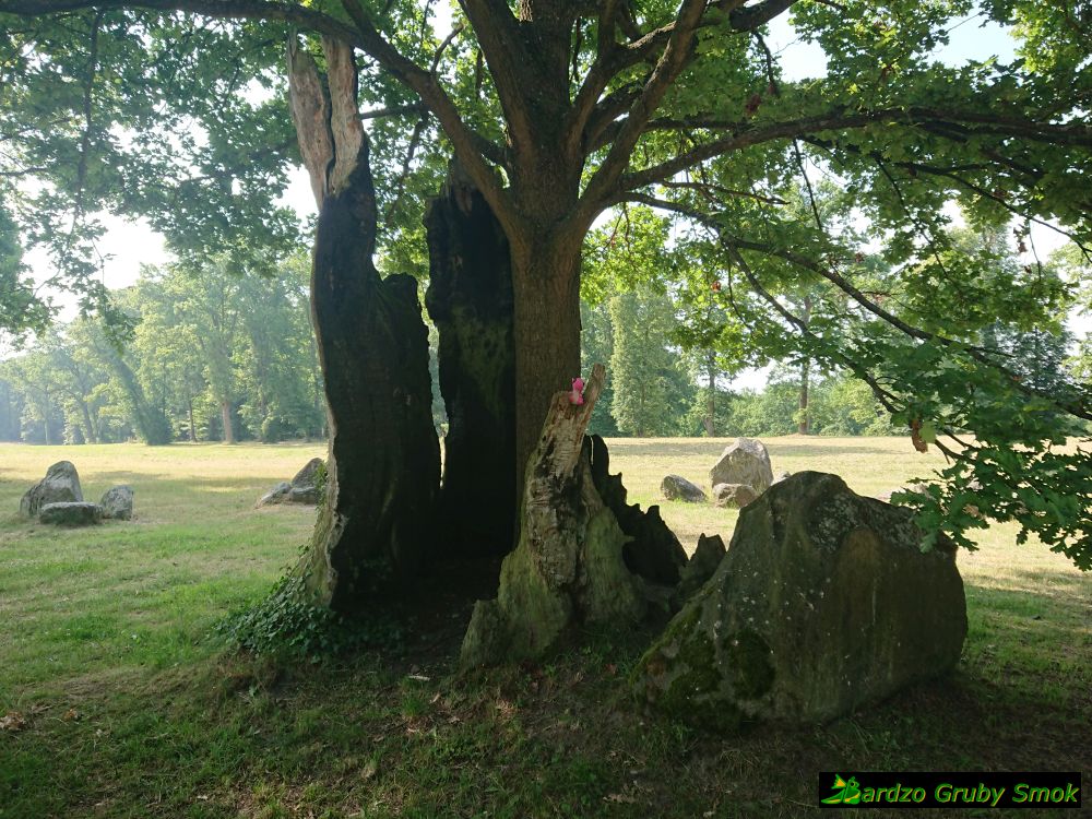 park mużakowski - miejsce druidów