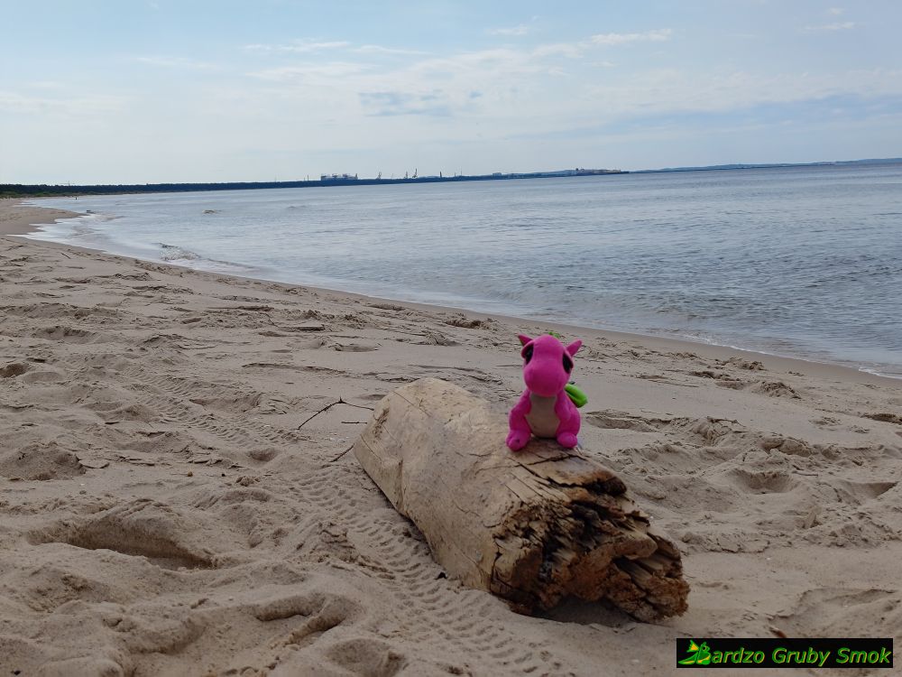 plaża w Międzyzdrojach