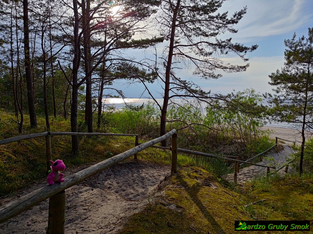 plaża w Międzyzdrojach